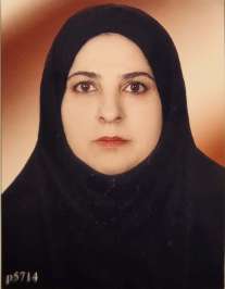 کبری امیری
