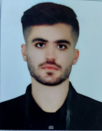 وحید کائدی