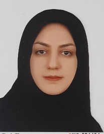 نگین رحمانی