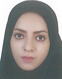 حمیده سادات میره