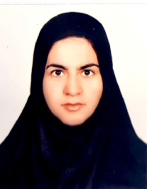 مینا مدبر ملکی