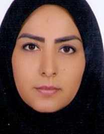 مهناز ابراهیم زاده