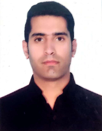 سید مجتبی حسینی