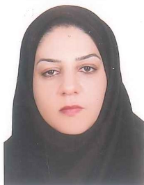 نوید اسدی زیدابادی