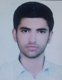 مجتبی سلیمانی کلکانی