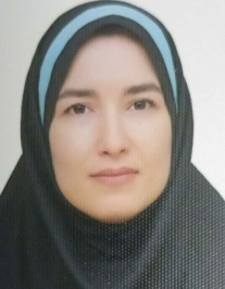 سپیده بادبان