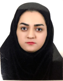 مینا پالاش