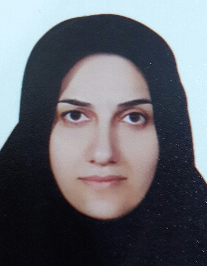 نرگس برزگر حسین آبادی