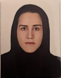 نیلوفر سادات بزرگ حسین آبادی