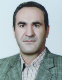 مهدیقلی زارعی کردشولی