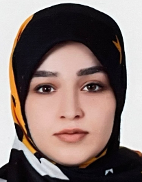 مینا سلیمانی