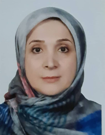 هایده روستایی‌