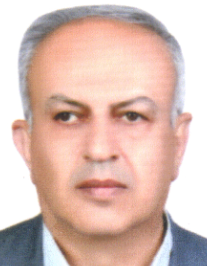 حسن شفیعی