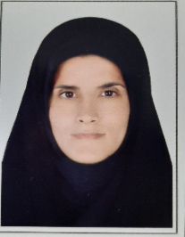 مینا محمدزاده