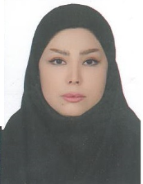 پریسا باقری تنها