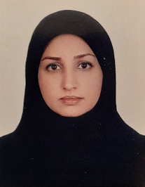مریم دبیر