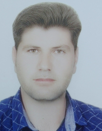 ولی کرم پور