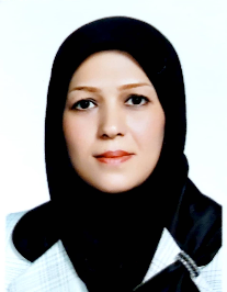 اکرم سادات حسینی