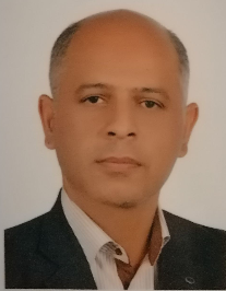 حمید عنایتی