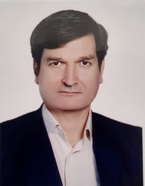 داود نسائی
