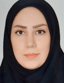 مهدیه خانه زر