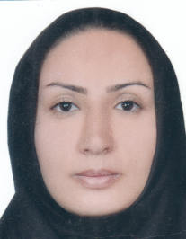 هاجر یوسفی خانه برق