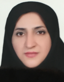 مریم دانش