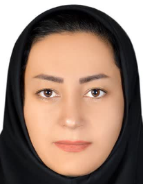 الهام ملک حسینی