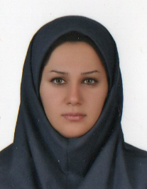 سولماز ترکمانی