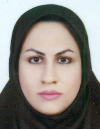 مریم سلیمانی حسن آبادی
