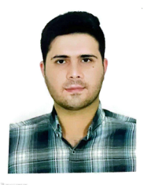 محمد مهدی حقی