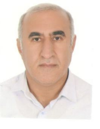 علی قادرمرزی