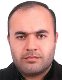 هادی هاشمی رزینی