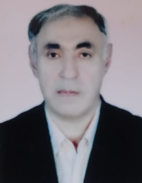 شمس الدین طرفی عمید پور