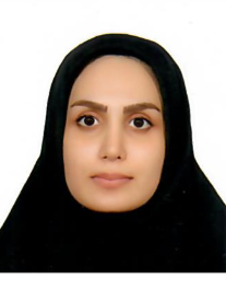 مینا رباط سرپوش