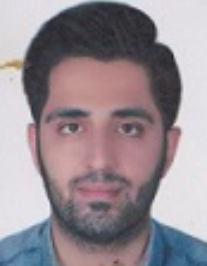 سید علی حسینی