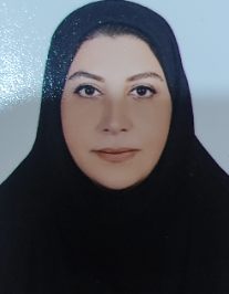 سیده سمیرا احمدی سقندینکلایی