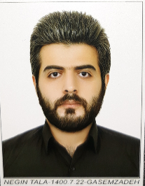 محسن قاسم زاده