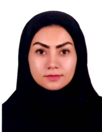 نگین السادات حسینی