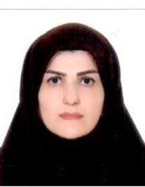 سیده مریم رزاقی پهنه کلائی
