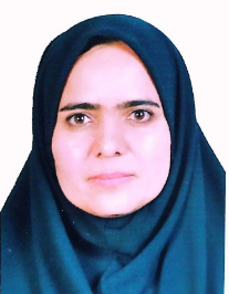 سمیه نادری بزدی