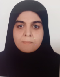 اعظم السادات حسینی