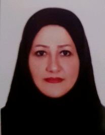 میترا پورخواجه