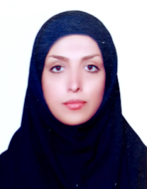 مینا خضری نمین