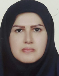 سیده صفیه میرحسینی