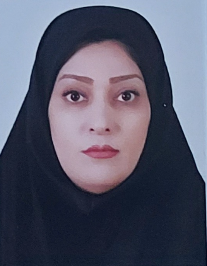 نفیسه محمدی هزاوه
