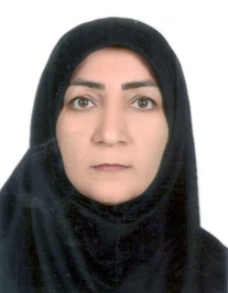 فرزانه دهقانی سهلوانی