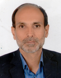 حسین شاهرخی