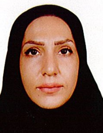 مریم غلامی ورکی