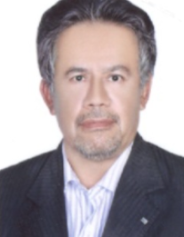 مهدی وادی